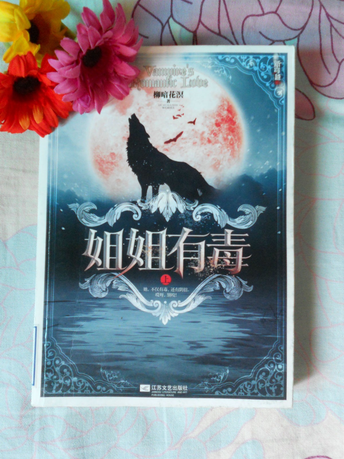 ❤️姐姐有毒❤️柳暗花溟|剧舞吧夏柳君|多人|完结【全157集MP3/1.28G】