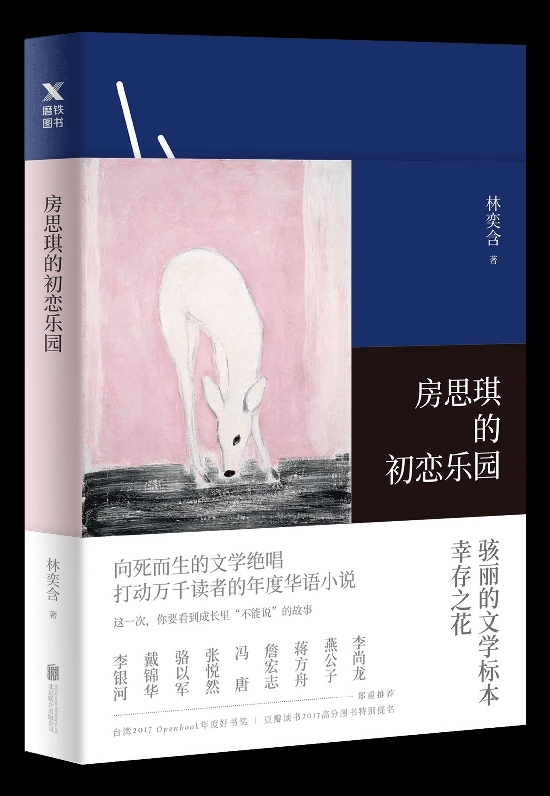 《房思琪的初恋乐园》以爱为名的性侵害 打动万千读者的年度华语小说,豆瓣评分 9.2 epub、mobi、 azw3、 pdf