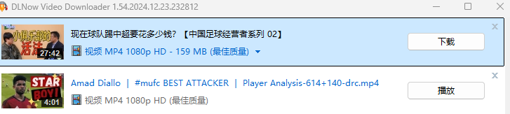 youtube下载器DLNow Video Downloader   [Windows平台] 【89M】
