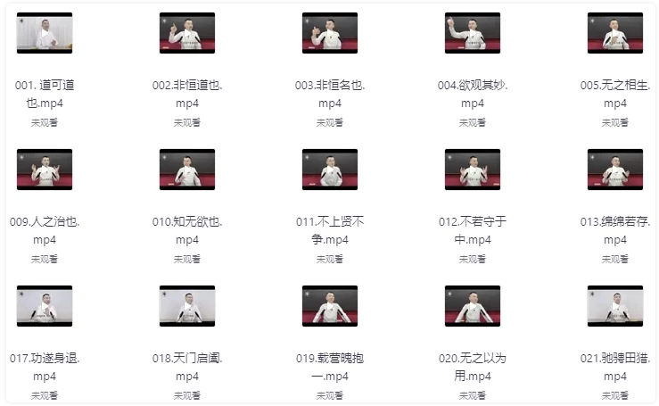 虚空济:道德经95讲 【6GB】
