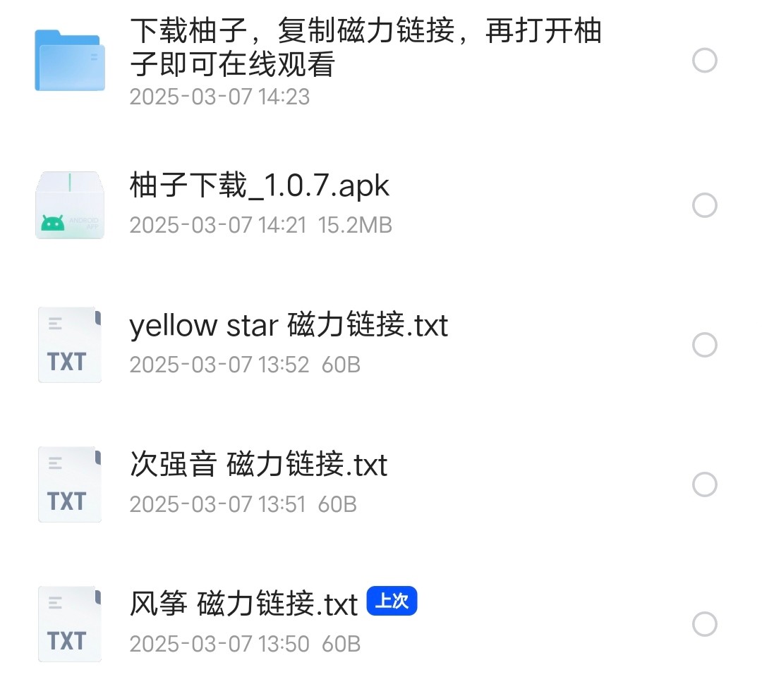 梅津泰臣动漫三部曲观看指南《风筝+次强音+yellow star》内附柚子下载器【15.2MB】