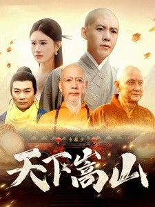 【短剧】《天下嵩山》31集/0.5G [全集完结]