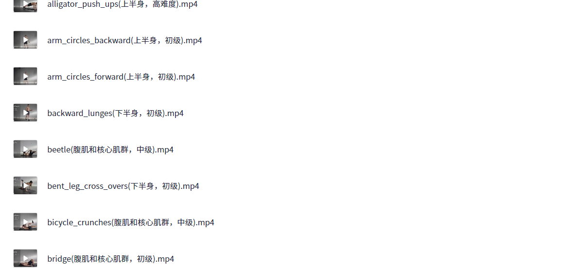初中高级全套健身视频《Runtastic Results》【1.2G】