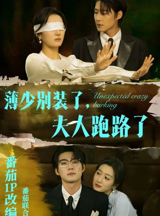 【短剧】薄少别装了夫人跑路了(60集)赵振栋&柳卓青 657MB
