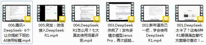 《DeepSeek从入门到精通》视频教程 DeepSeek太卡怎么办 AI使用秘籍 [mp4] [100.5M]