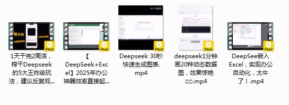 《DeepSeek办公应用》2025年效率直接起飞 超详细教程  [mp4]