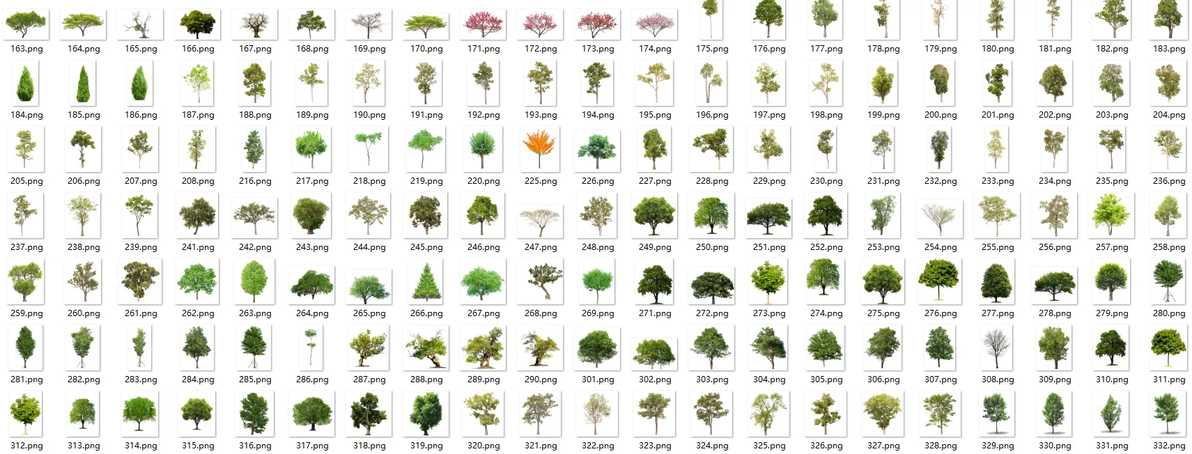 【植物素材】免扣 带名字 植物素材 5000+