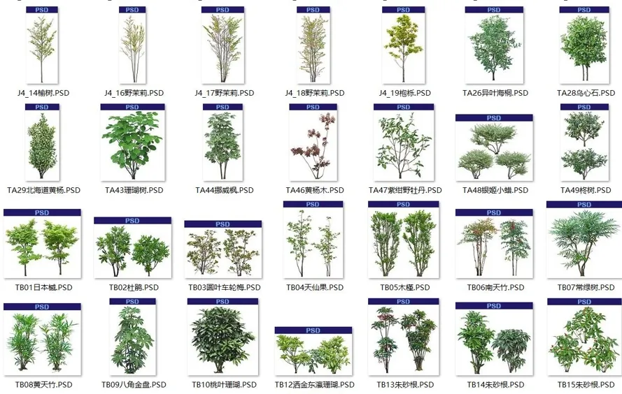 【植物素材】免扣 带名字 植物素材 5000+
