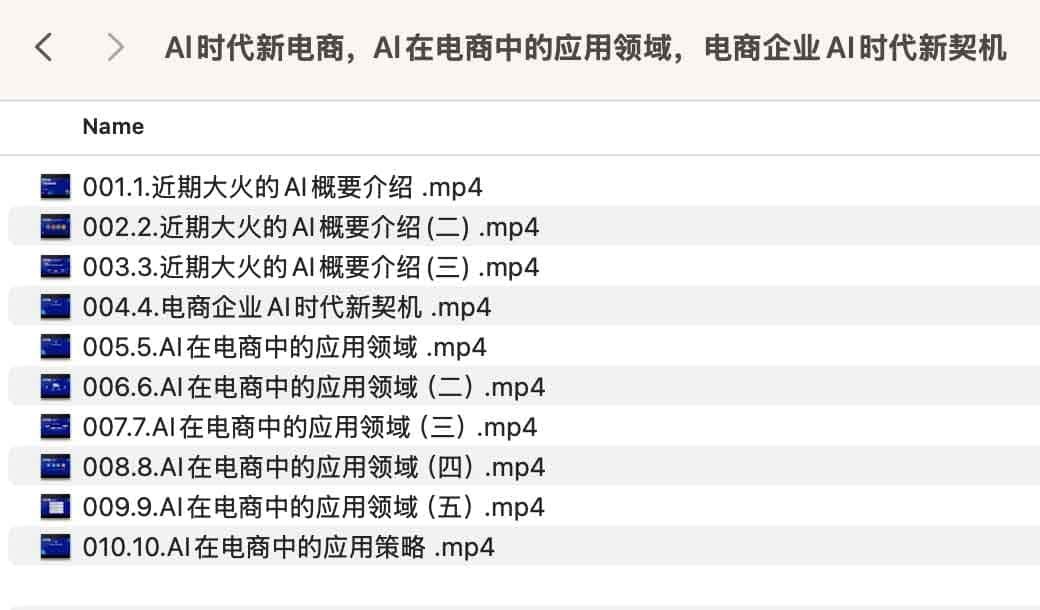Al时代新电商,Al在电商中的应用领域,电商企业AI时代新契机(712.1MB)