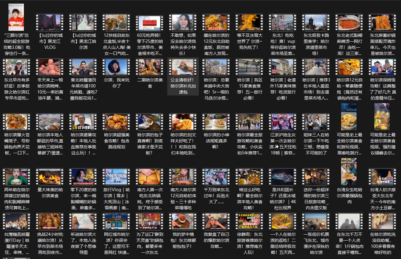 【视频】100个哈尔滨旅游美食攻略，包你看到爽！！   [10.4GB]