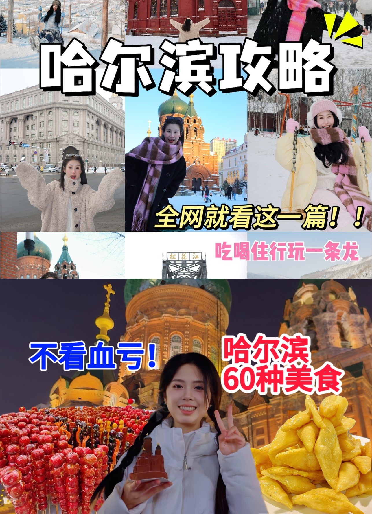 【视频】100个哈尔滨旅游美食攻略，包你看到爽！！   [10.4GB]