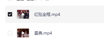2025电视剧品质盛典+红毯 1080p 【2G】