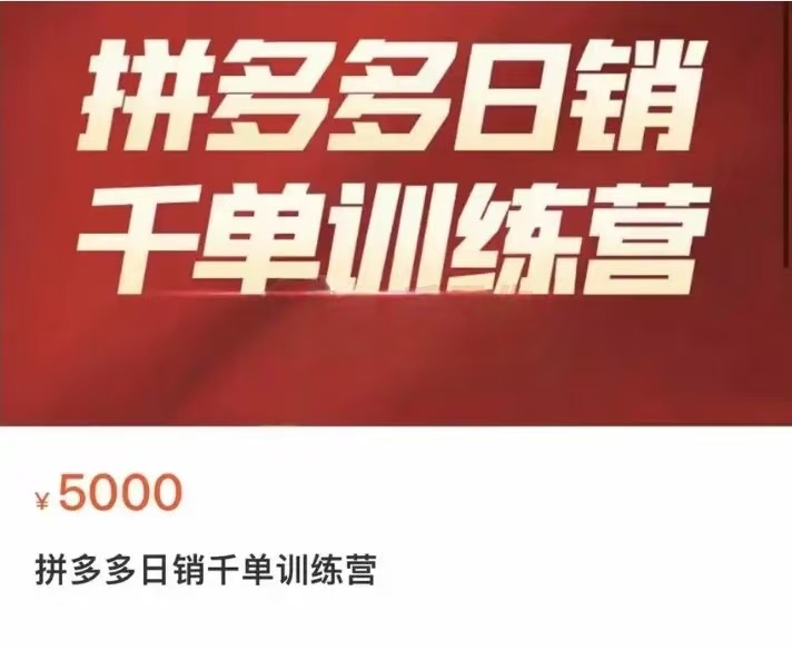 pdd价值5000元项目课程