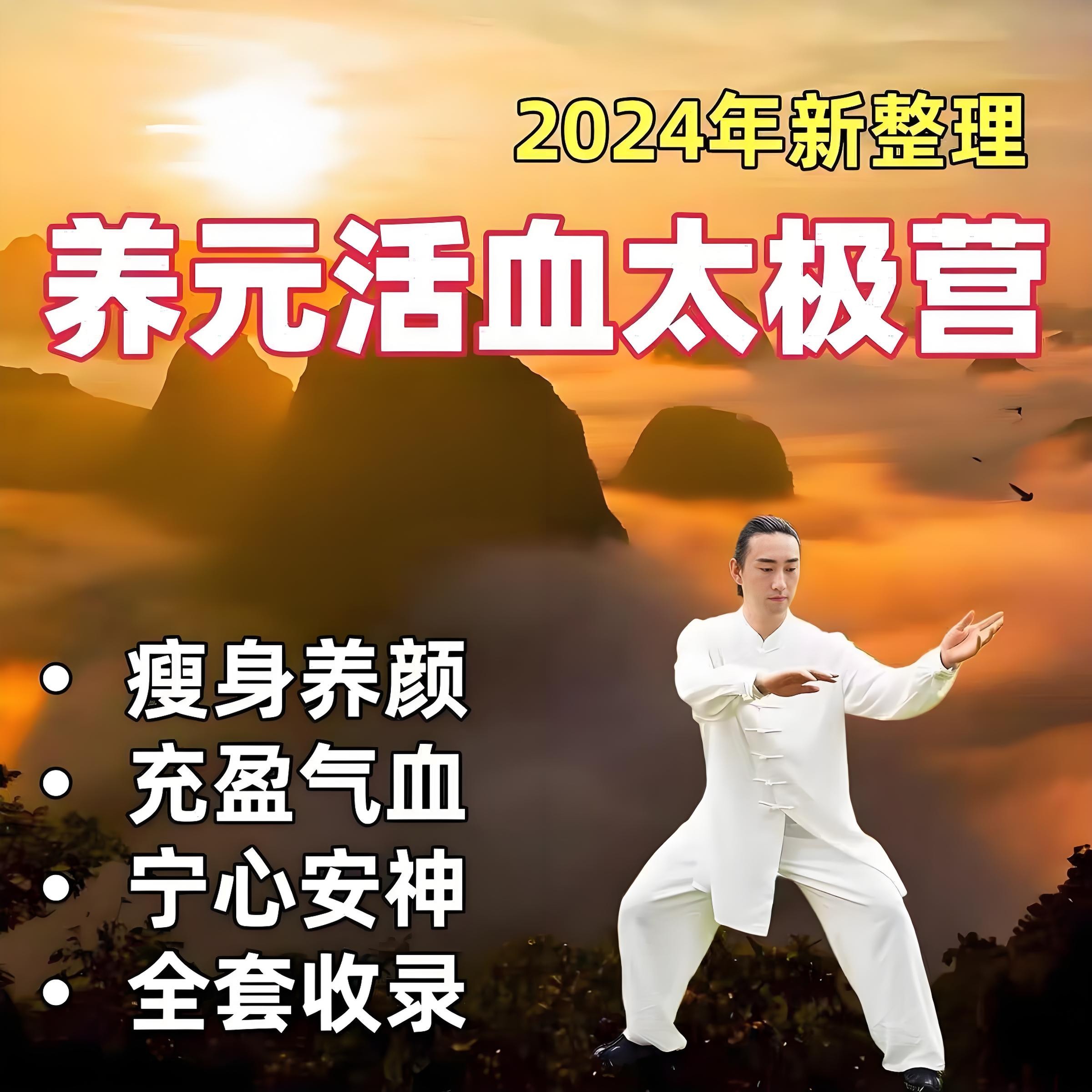 李在峰《28天养元活血太极营 (2024全面升级版) 》 18.6GB