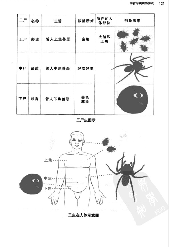 《内证观察笔记》（校对版全本）作者：无名氏  [PDF格式]  [43.9MB]