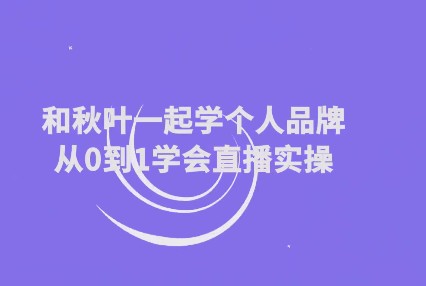 和秋叶一起学个人品牌从0到1学会直播实操【10.7GB/MP4】