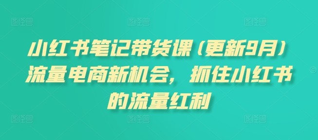 小红书笔记带货课(更新25年3月)流量电商新机会，抓住小红书的流量红利【18.7GB/MP4】