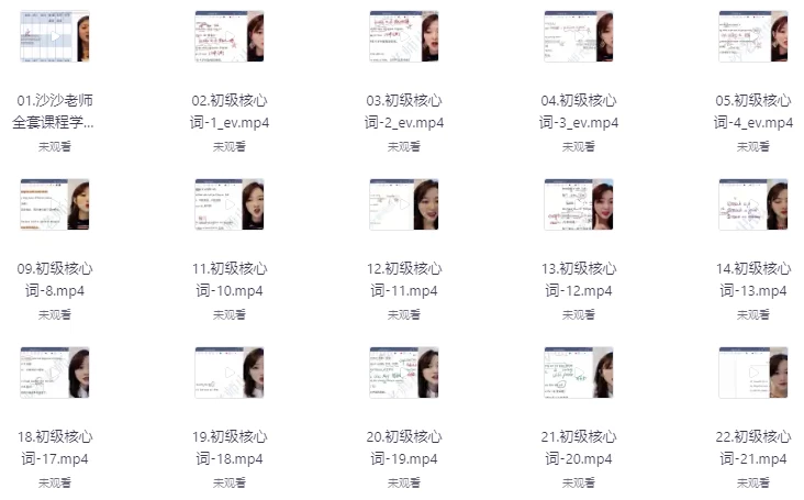 沙沙老师 单词+语法 初级二合一(341节)