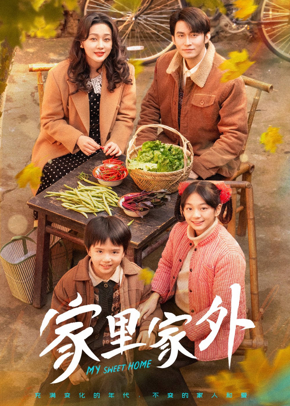 家里家外(2025)79集合并一集【950MB】