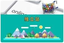 独立站新手入门体系化运营教程,助力独立站卖家从0-1快速入门 359.1M