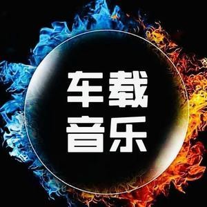 车载音乐九头鸟2024贺岁私人订制龙年版本【MP3】【13.1GB】