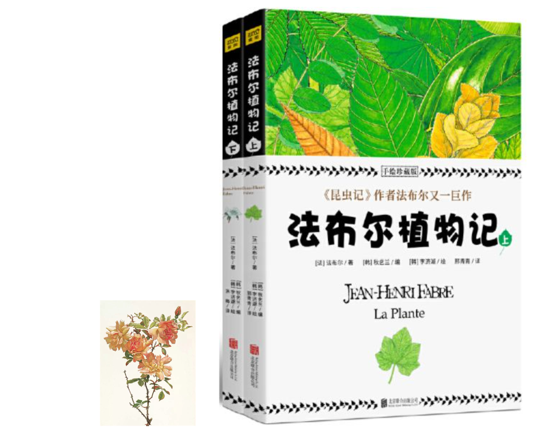 法布尔植物记：手绘珍藏版（套装共2册）  54.2MB