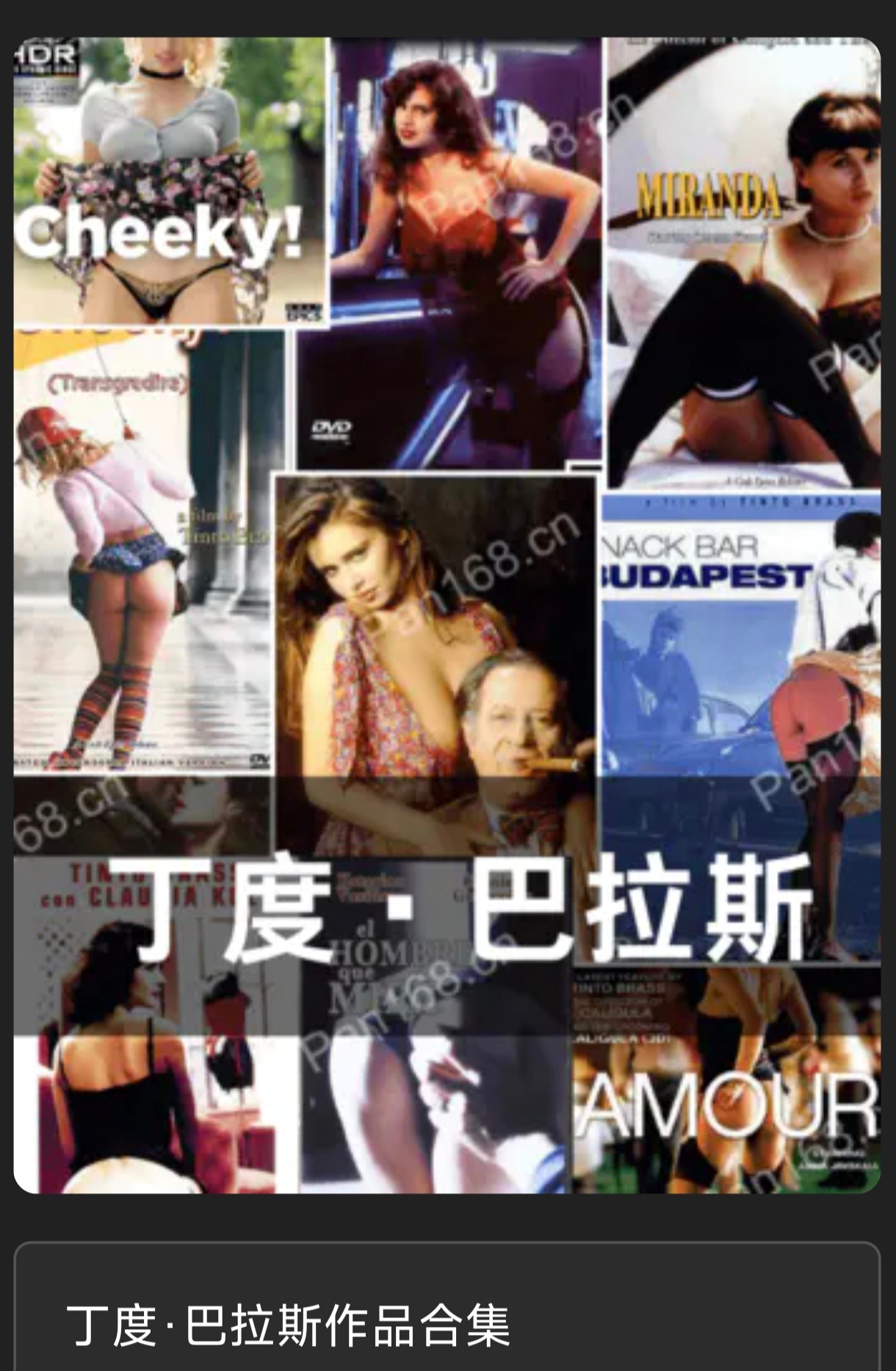 求丁度·巴拉斯电影集