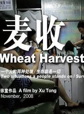 麦收