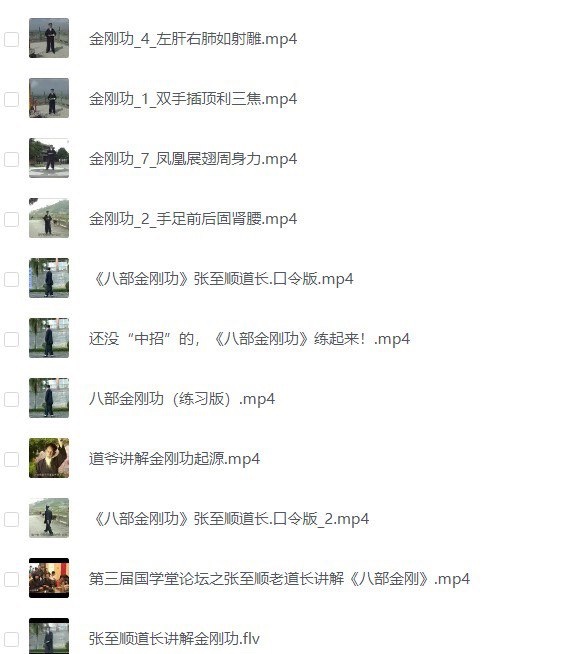 《张志顺道长全集》视频+音频 附道长简介 [MP4FLV]12.3GB