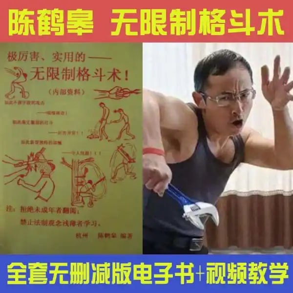 陈鹤皋无限制格斗《 一切为了实战而练》+训练视频2.14GB