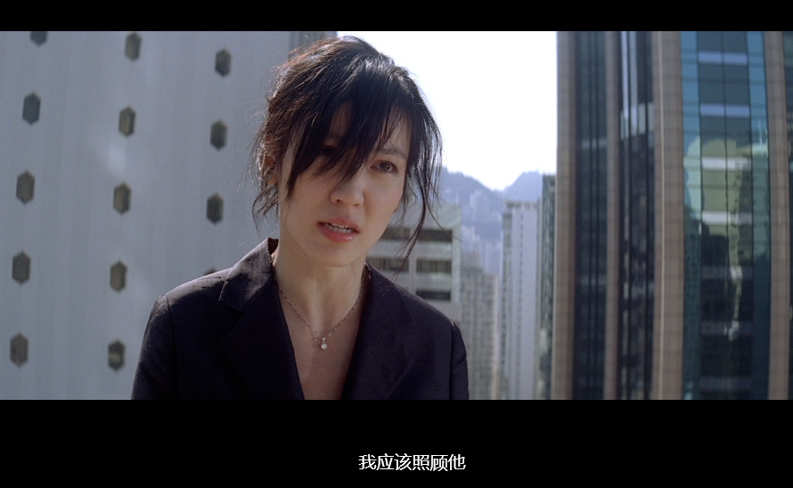 文雀 (2008) 1080 国语中字 12.1G 任达华/林熙蕾 豆瓣7.0