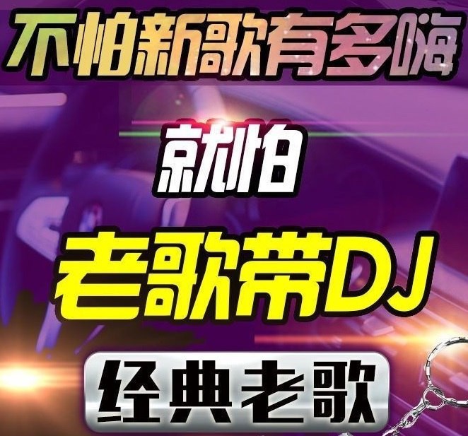 200多首经典歌曲DJ改编无损合集 车载老歌DJ慢摇【MP3/wav】【4.2GB】