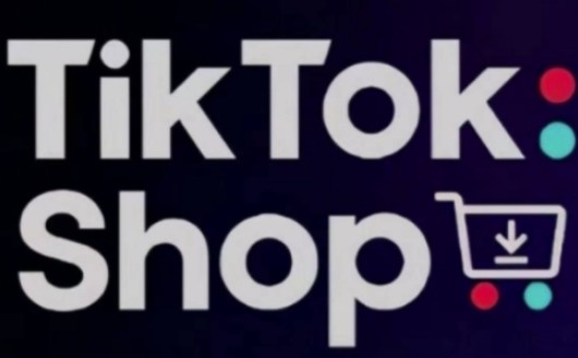 TikTokShop跨境电商0-1实战,手把手教你低成本启动海外市场【970MB/MP4】