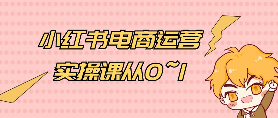 小红书电商运营实操课从0~1【1GB/MP4】