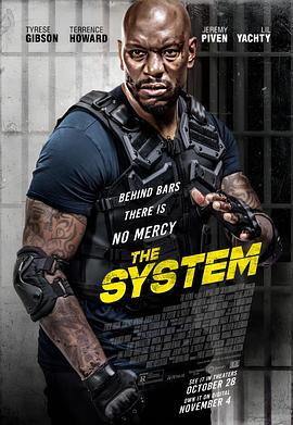 危险卧底 The System