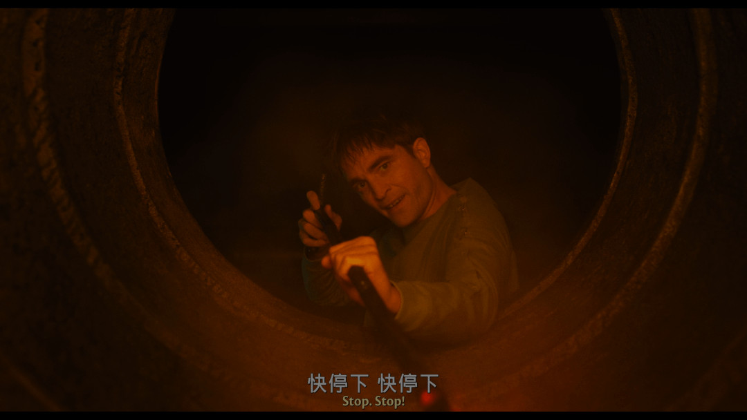 编号17 Mickey 17（2025） 【4K HDR 杜比视界】【杜比全景声】【内封简英双语字幕】【24.25G】