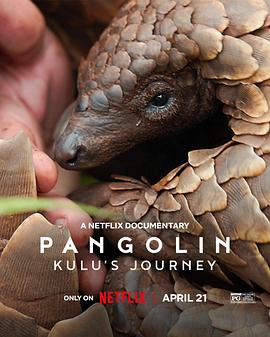 穿山甲Kulu的旅程 Pangolin: Kulu’s Journey