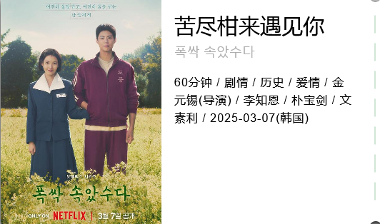 「苦尽柑来遇见你 폭싹 속았수다」 Netflix剧 16集全 2025 1080P] [中文字幕] [总44G]