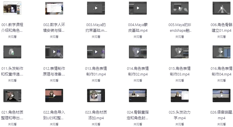 AI虚拟数字人智能体-UE5实时语音交互2025 - 带素材 【61.3GB】