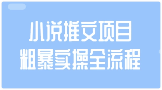 小说推文项目粗暴实操全流程 【2.8GB】