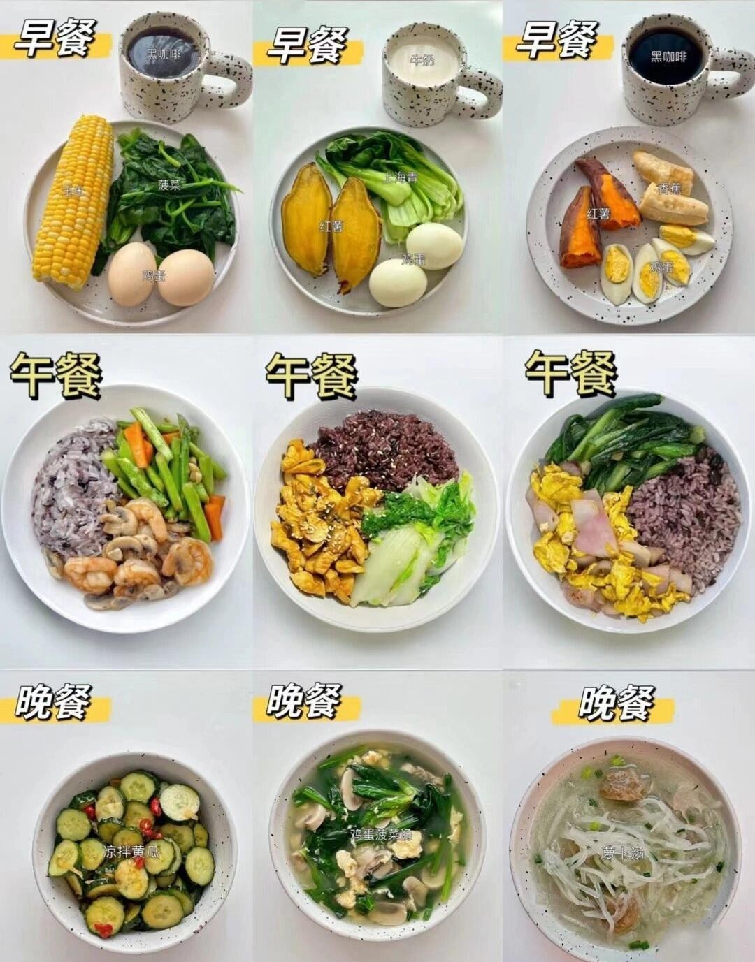 杨澜、王力宏倾情推荐：21天健身轻食计划，每天8分钟见证改变（完结）