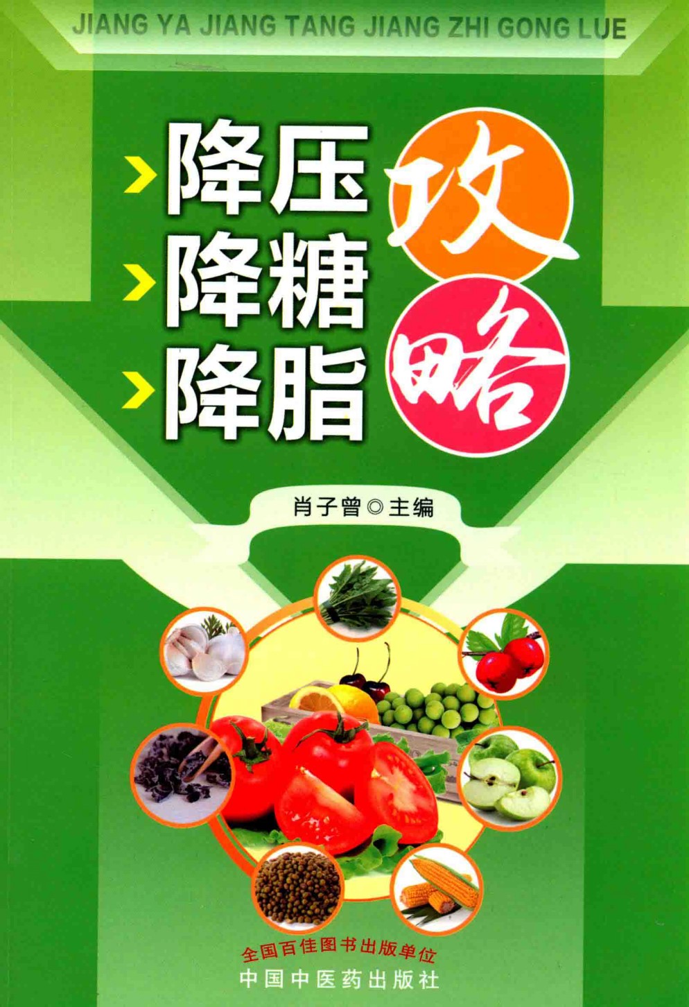 《降压降糖降脂攻略》三高防治妙招 给父母看 通俗语言看得懂 预防高血压 糖尿病 高血脂 [pdf]［34.9MB］