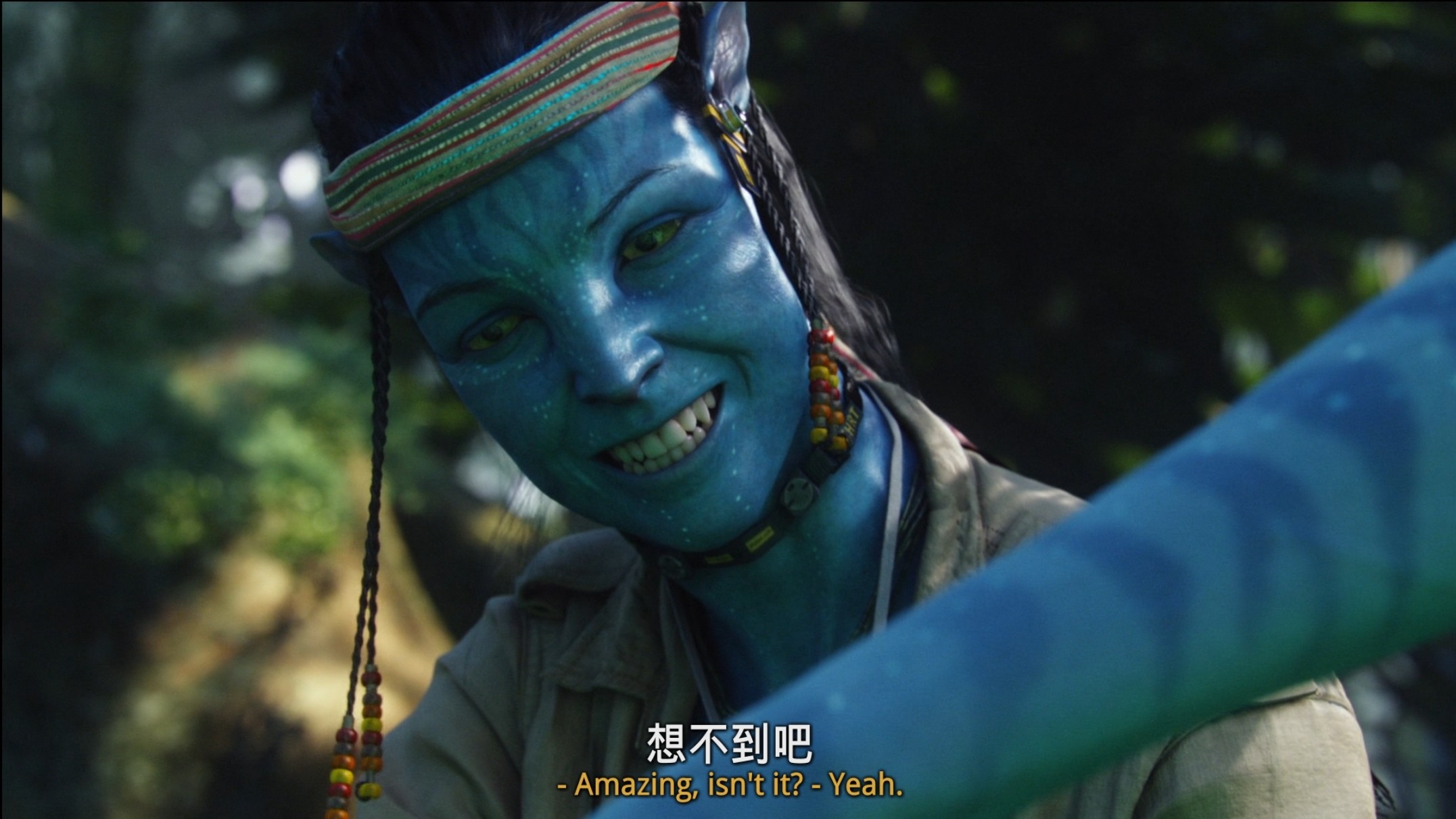 《阿凡达》1-2部 1080P蓝光重编码 特效中英字幕 国英双语（2009-2022）总共34G