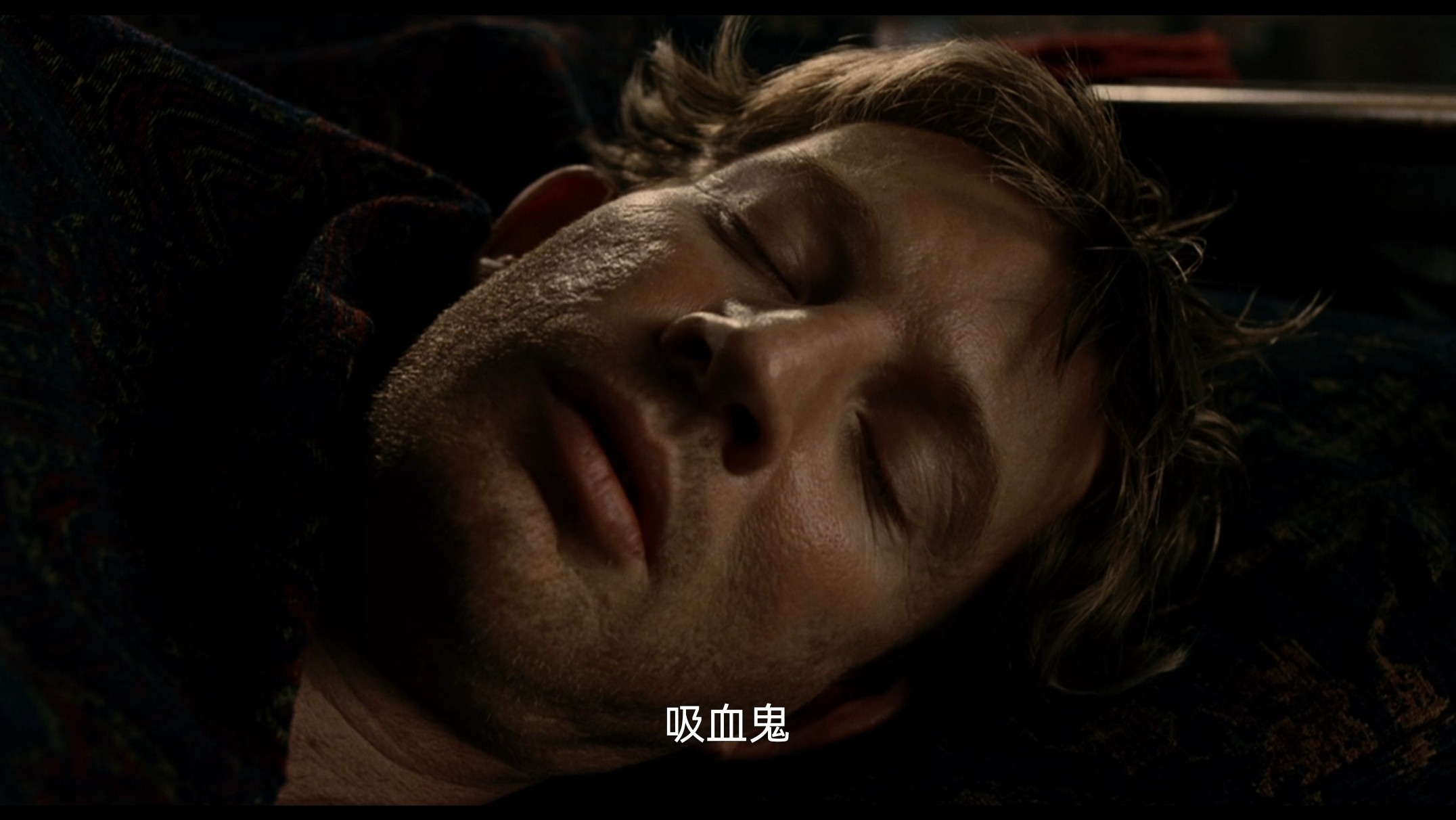 范海辛（2004）1080P WEB-DL 英语中字 5.5G