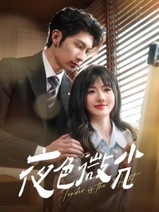 【短剧】《夜色微光》91集/0.8G [全集完结]