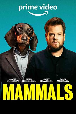 哺乳动物 Mammals