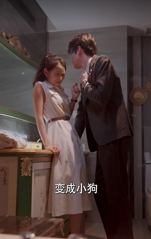 【短剧】您的狗狗牌女友已上线（60集）裘哲夫＆陆文欣 490.9MB