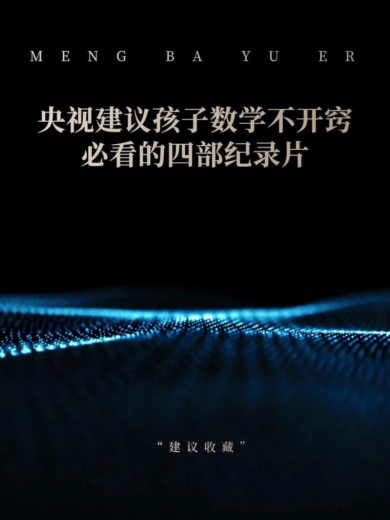 央视推荐灭掉孩子数学逻辑混乱的4部开悟型数学纪录片 1990-2010年 1080P 中英双字幕 8.5G