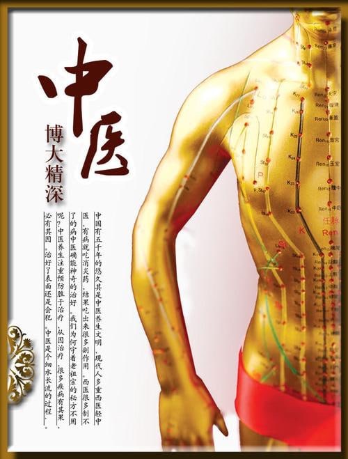 中医经络图(全34册)pdf+jpg格式30MB