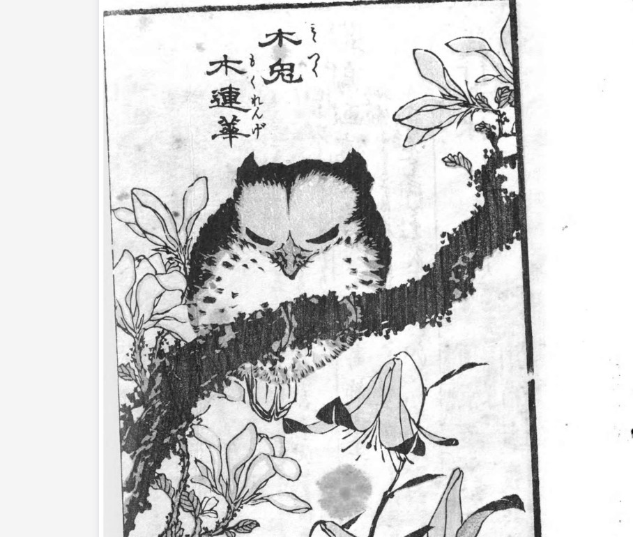 【德国巴伐利亚图书馆藏汉籍】PDF 728册【124.04GB】